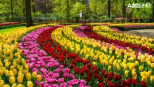 Which Country is Known as the Land of Tulips?