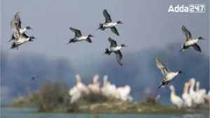 Which Country is Known as the Land of Birds?