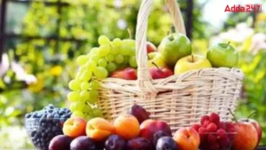 Which City of Afghanistan is Known as Fruit Basket?