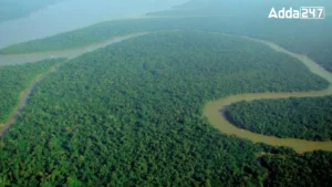 Which Forest is Known as the Lungs of the Earth?