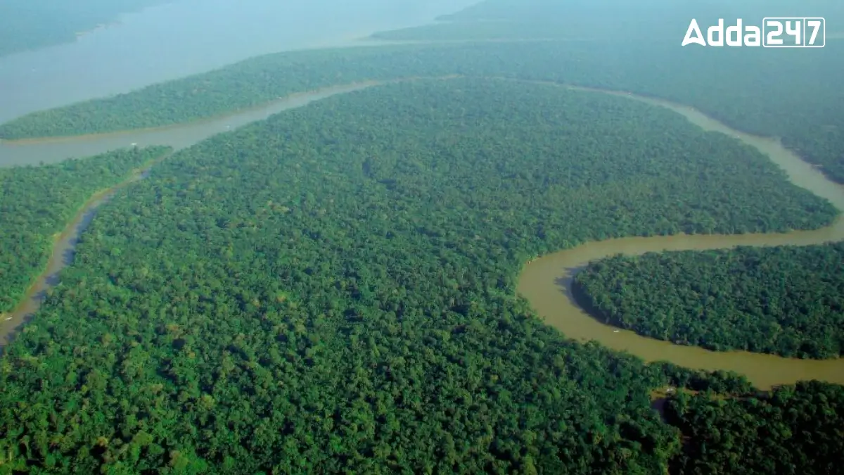 Which Forest is Known as the Lungs of the Earth?