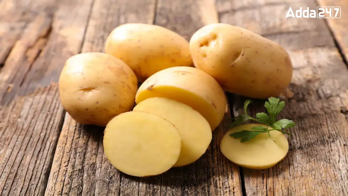 Which District of Uttar Pradesh is Known as the Potato City?