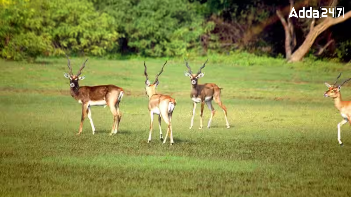 In Which State is Points Calimere Bird Sanctuary Located?