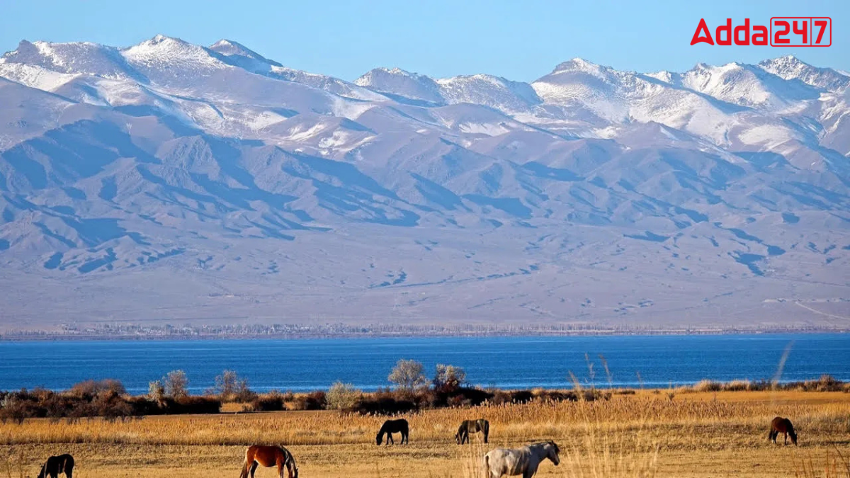 Which Country is Known as Country of 40 Tribes?