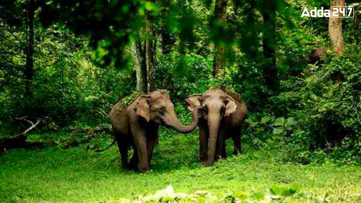 In Which State is Wayanad Wildlife Sanctuary Located?