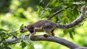 In Which State is Grizzled Squirrel Wildlife Sanctuary Located