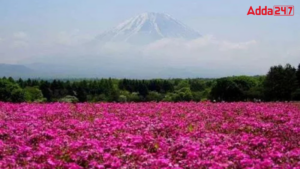 Which Country is Known as the Land of Roses?