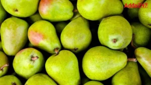 Which State is the Highest Producer of Pear?