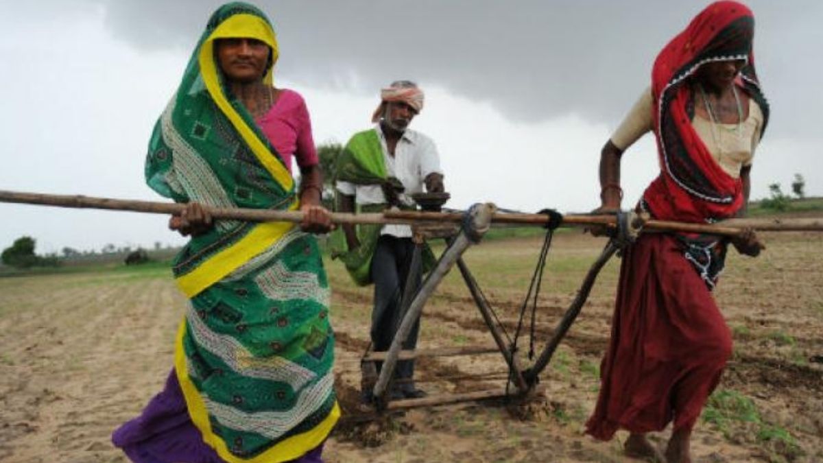 Centre Issues Guidelines for Bio-Resource Centres under NMNF