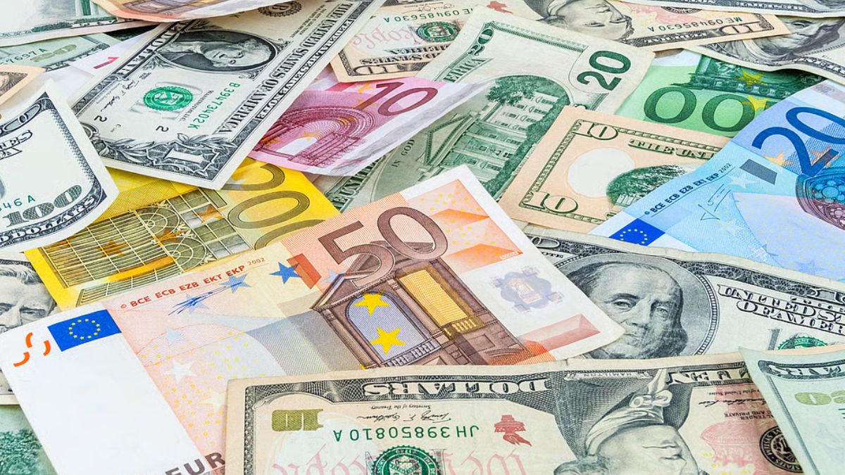 NSDL Reports Robust FPI Investment in May Amid Economic Stability