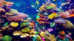 India’s First Underwater Museum to Be Built Around INS Guldar in Maharashtra