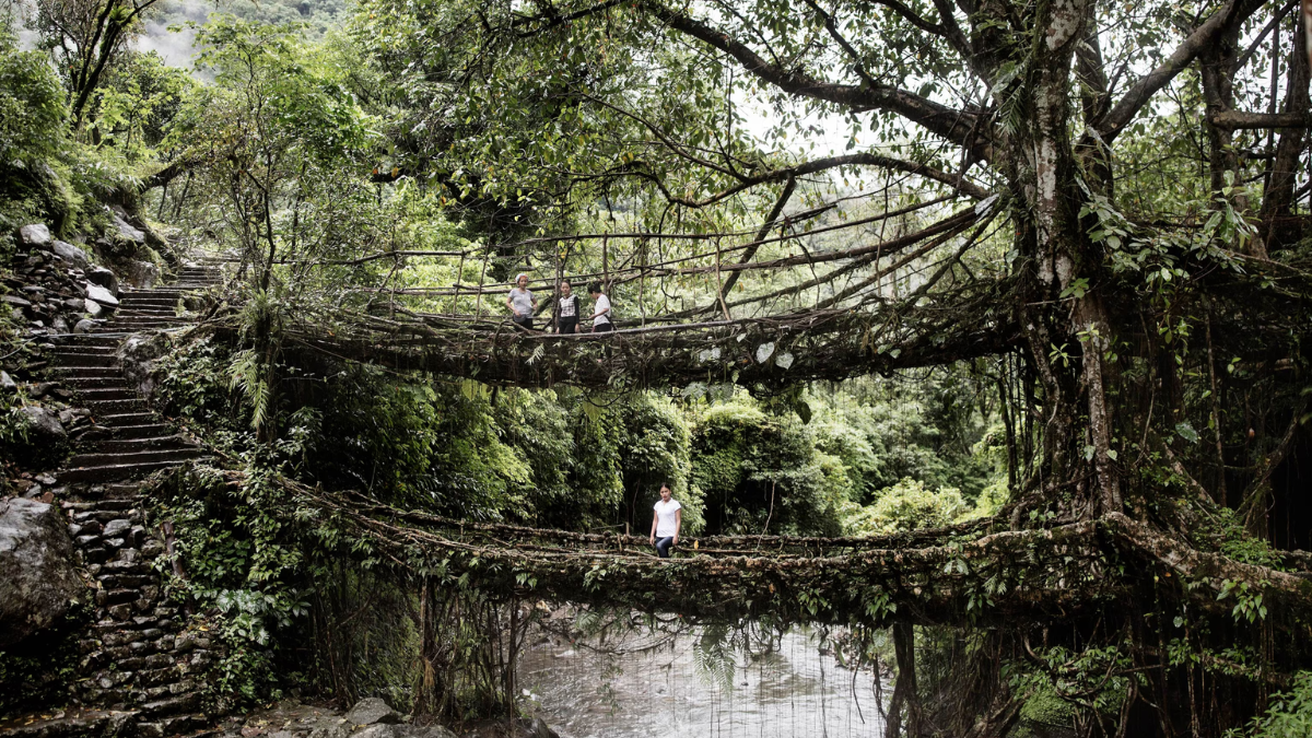 Which Indian Town is Known as the Land of Living Root Bridges?