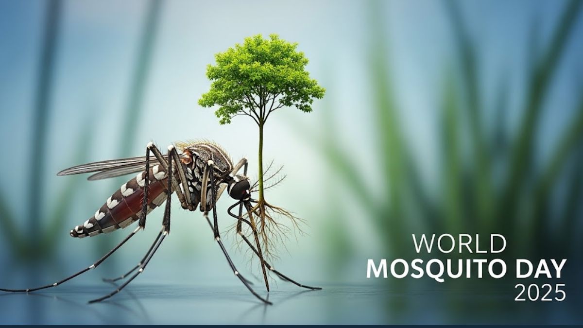 World Mosquito Day 2025 Awareness and Action Against Mosquito-Borne Diseases