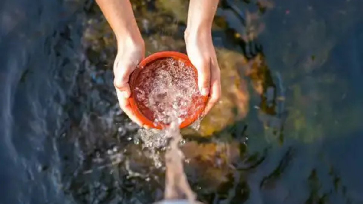 Countries with the Cleanest Water in the World, Check the List