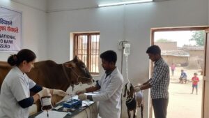 India Launches First Guidelines for Animal Blood Banks