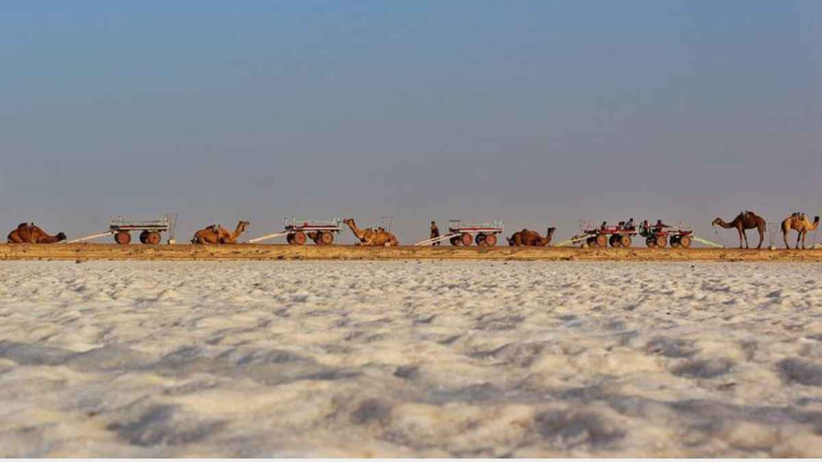 Which Indian Town is Known for the Salt Desert Festival?