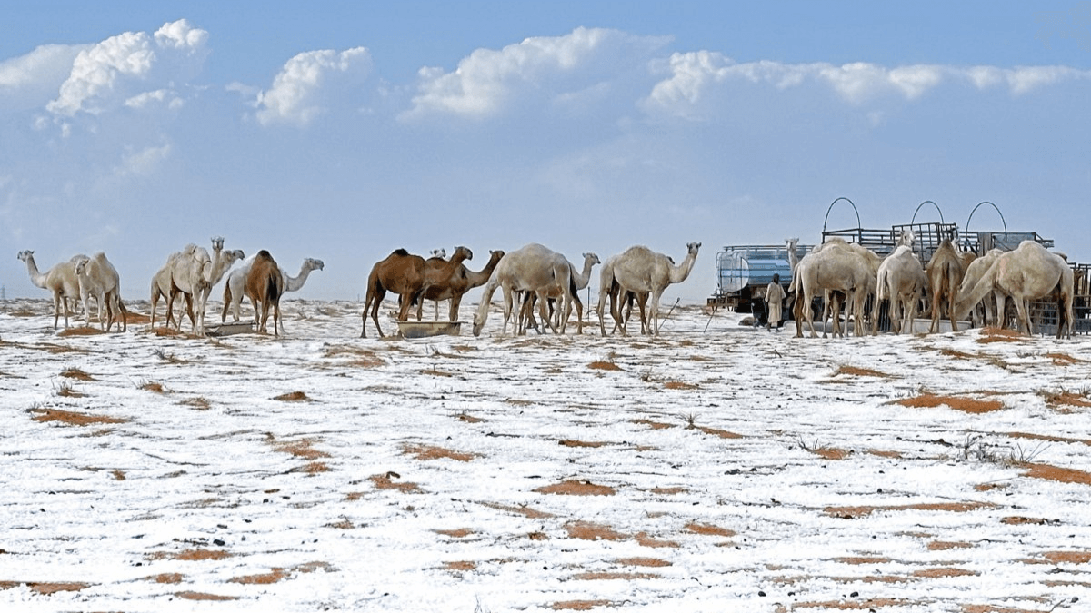 Top-8 Deserts Around the World that Receives Snowfall, Know the Names