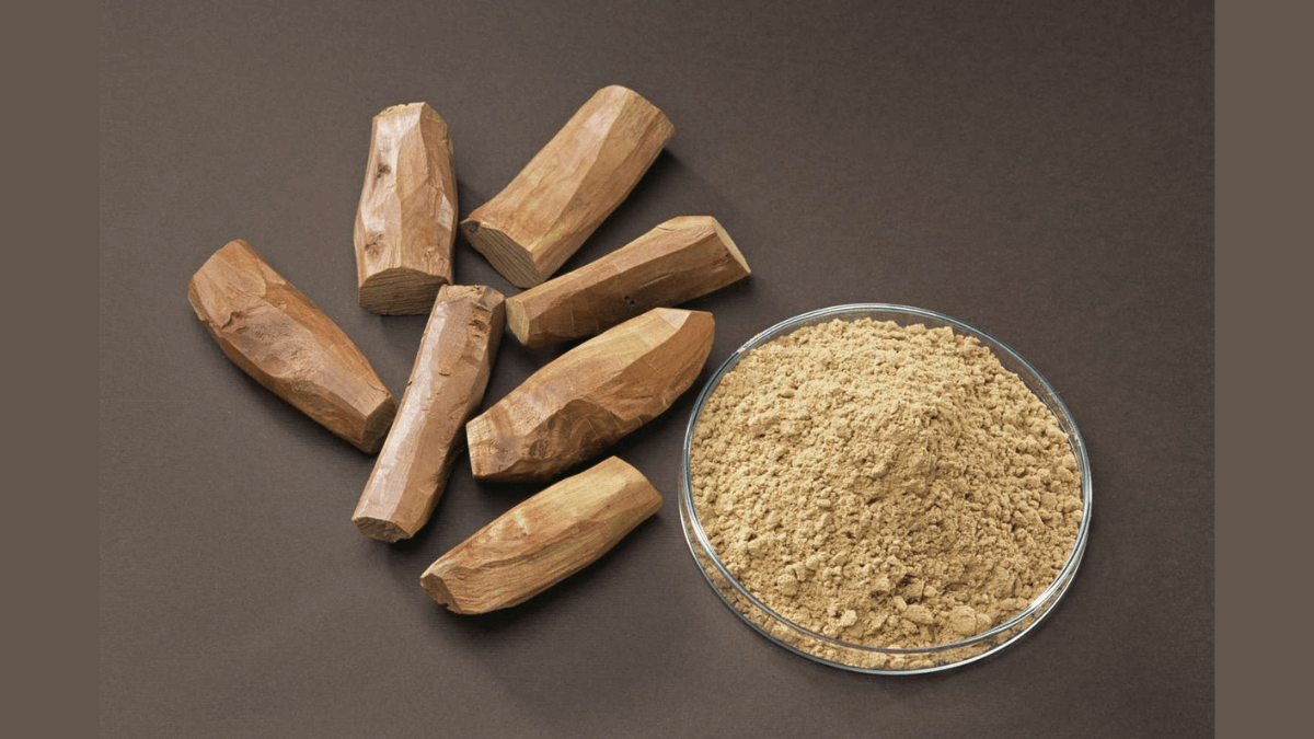 Top-10 Sandalwood Producing Countries in the World 2025, Check the List