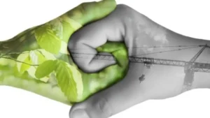 11th World Green Economy Summit Begins in Dubai