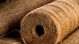 Which Crop of India is Known as the Golden Fibre?