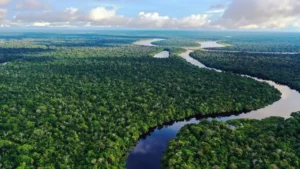 Which is the Largest Drainage Basin of the World? Know About It