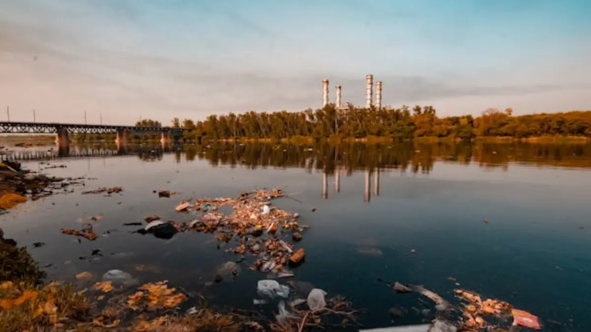 Top-10 Most Polluted Rivers of India in 2025, Check the List