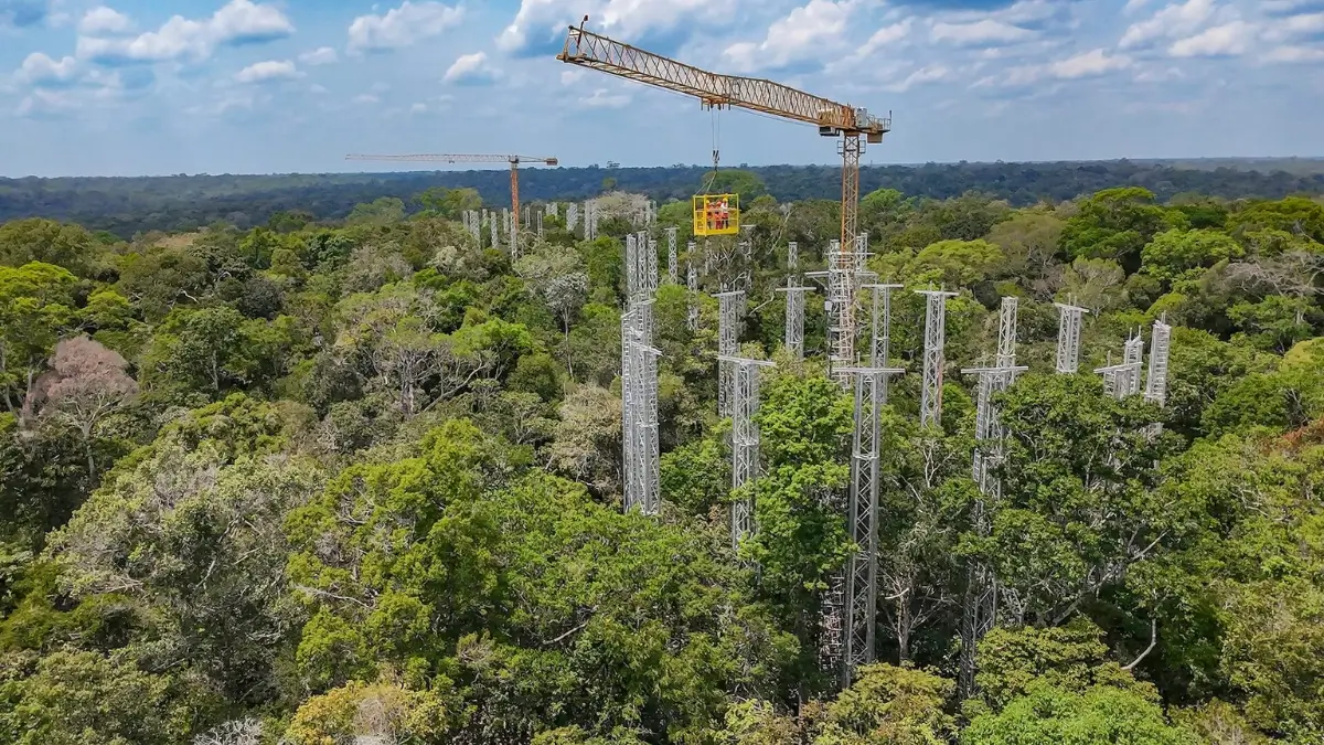 AmazonFACE Experiment Recreates Future Atmosphere to Study Forest Response