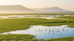 Gogabeel Lake in Bihar Declared Newest Ramsar Site