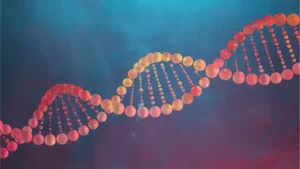 Who is the Discoverer of DNA? Know About the Discovery of DNA