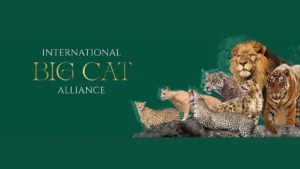 India to Host Global Big Cats Summit in New Delhi in 2026