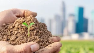 World Soil Day 2025 Focusing on Healthy Soils for Healthy Cities