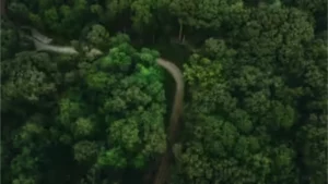 Which Country is known as the Land of Forests?