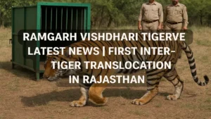 Ramgarh Vishdhari Tiger Reserve Latest News | First Inter-State Tiger Translocation in Rajasthan