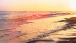 Which is the Warmest Ocean in the World? Know About It