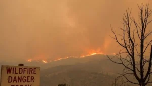 UNEA Adopts India’s Resolution on Global Wildfire Management