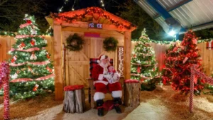 Christmas 2025: When and How it is Celebrated?