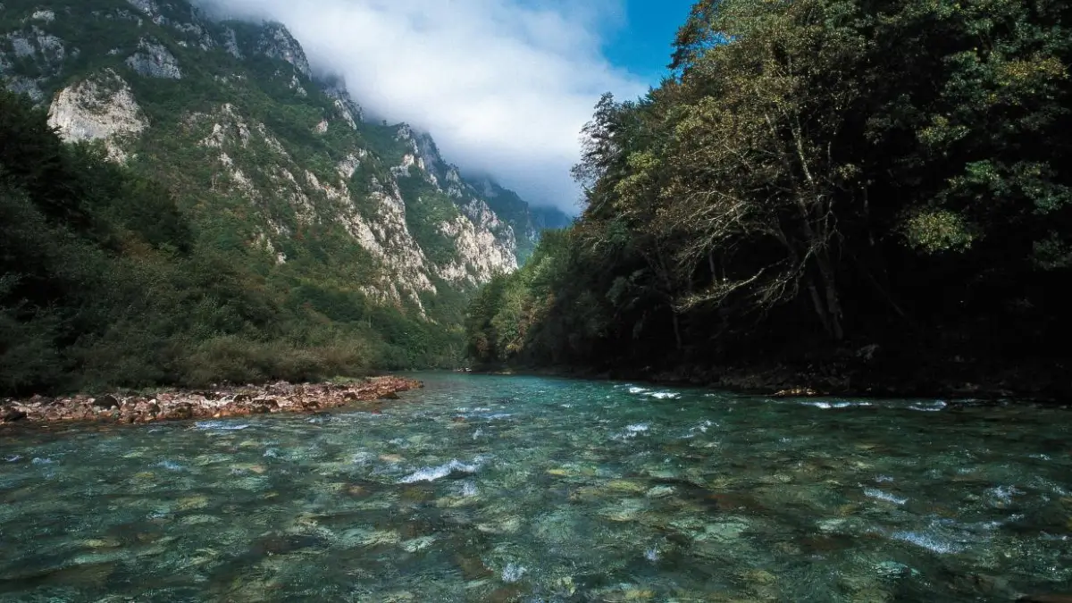 Which River is known as the Mother River of India?