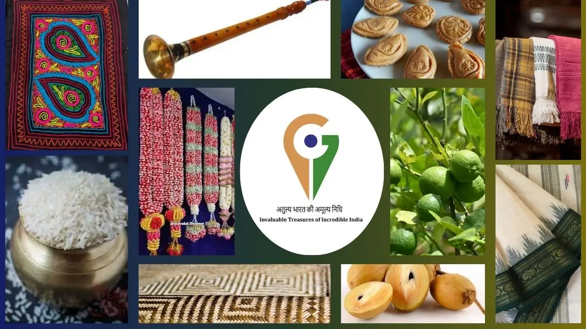 India's GI Tag Recognitions in 2025: Here Is The Full List