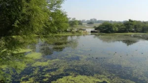 Govt Declares Parvati Arga Bird Sanctuary as Eco-Sensitive Zone