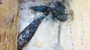 Which is the Oldest Wooden Structure of the World?