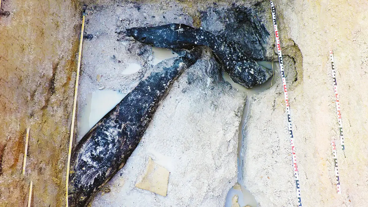 Which is the Oldest Wooden Structure of the World?