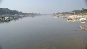 Which River is known as the Gold River of India?