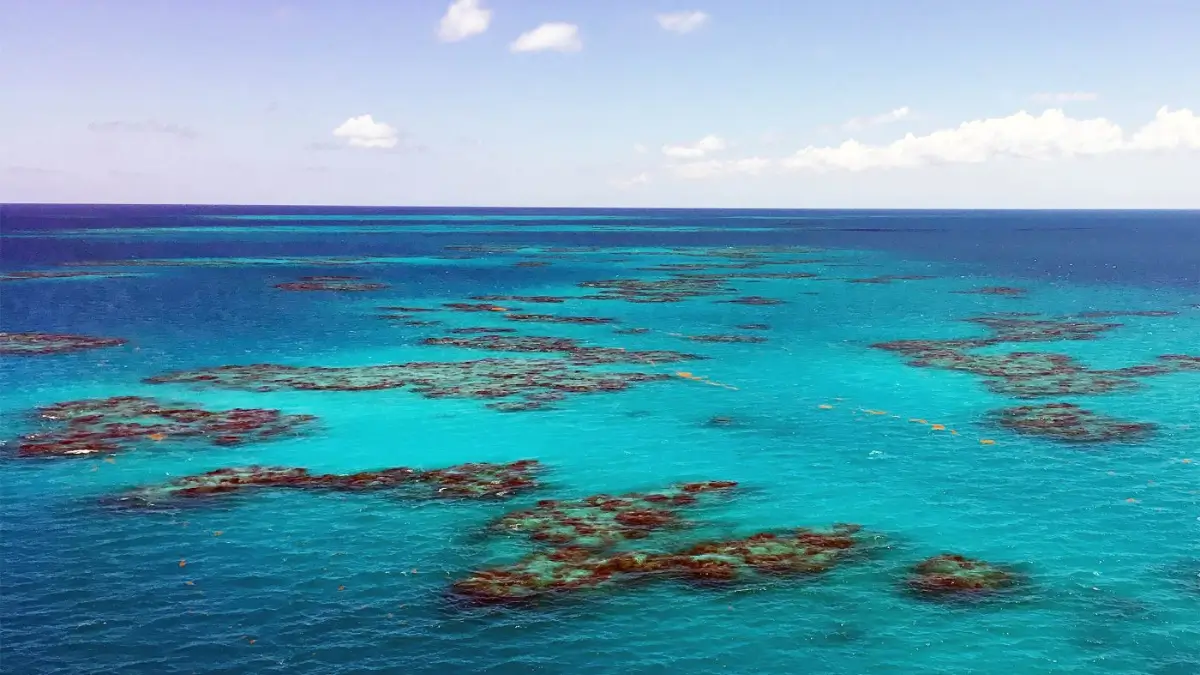 Which is the Only Sea in the World that has No Coastlines?