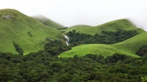 Rare Galaxy Frogs Feared Dead After Photo Tourism Disturbs Habitat