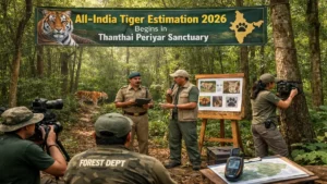 All-India Tiger Estimation 2026 Begins in Thanthai Periyar Sanctuary