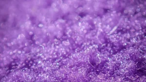 Which Colour is known as the King of Colours?