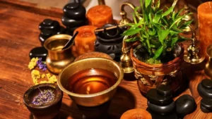 Which Indian State is known as the Land of Ayurveda?