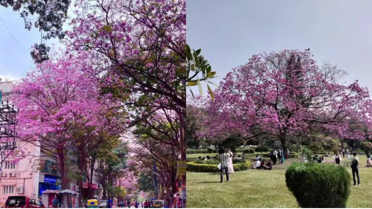 Which Indian City is known as the Flower City?