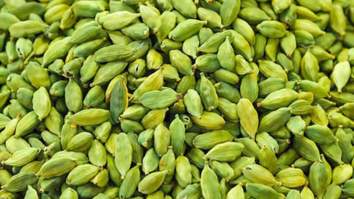 Which City is known as the Cardamom City of India?