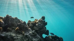 High Seas Treaty Comes into Force: New Global Rules to Protect Oceans Explained